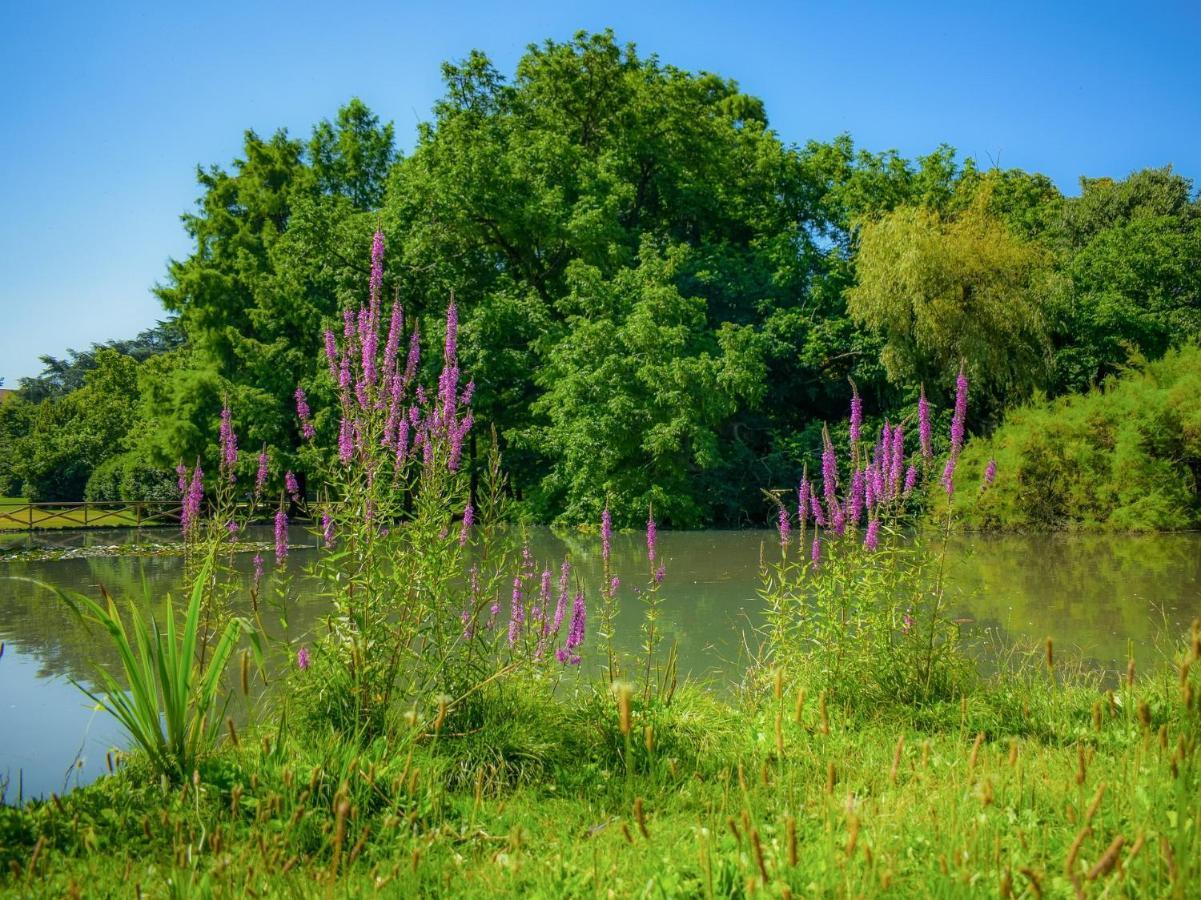 Casa Paradiso: Un'Oasi Di Relax Cinisello Balsamo Zewnętrze zdjęcie